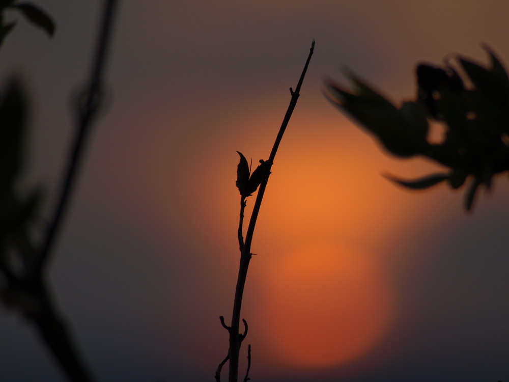 die sonne geht unter