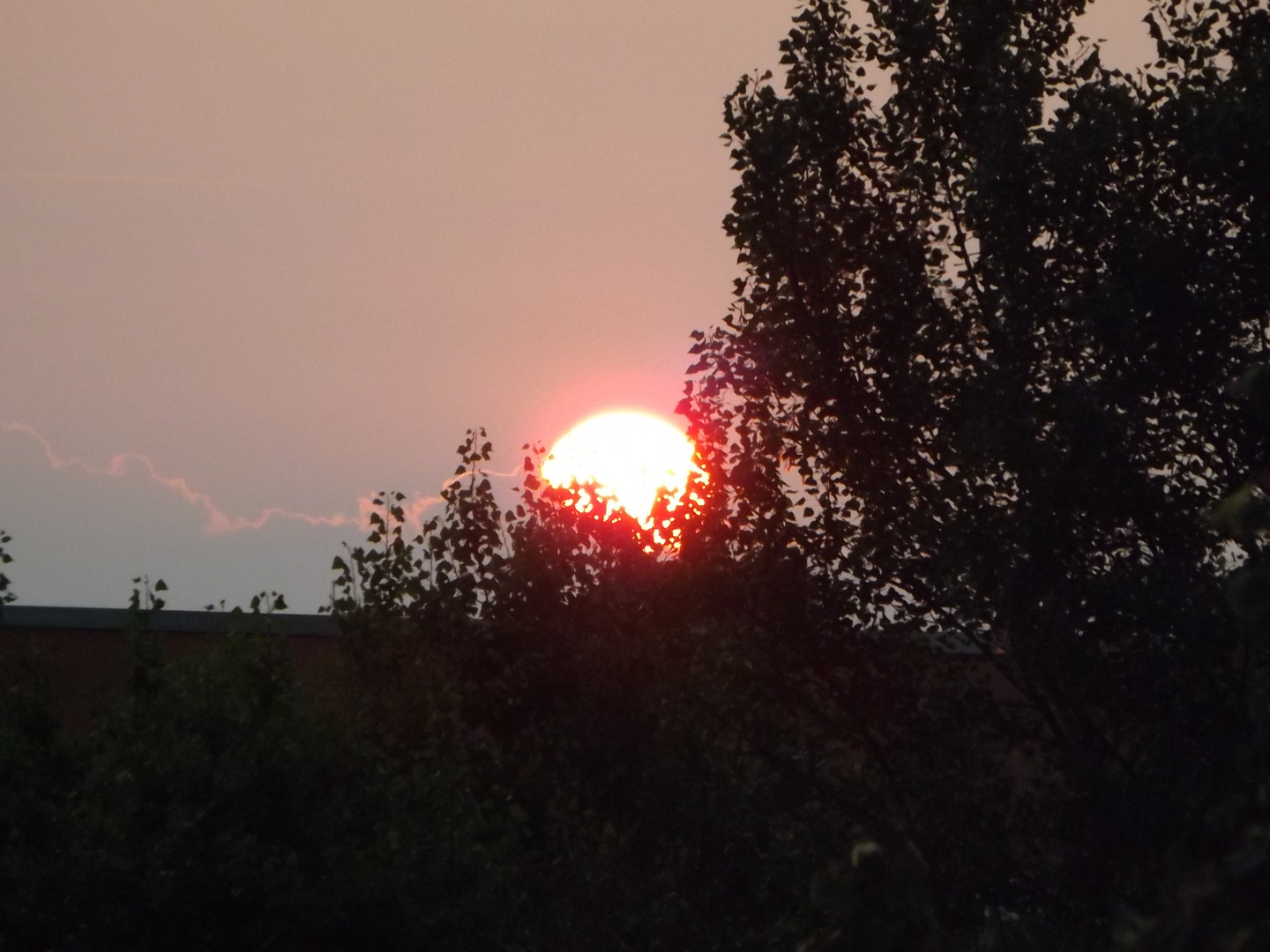 Die Sonne geht unter Foto & Bild | natur-kreativ, meine ...