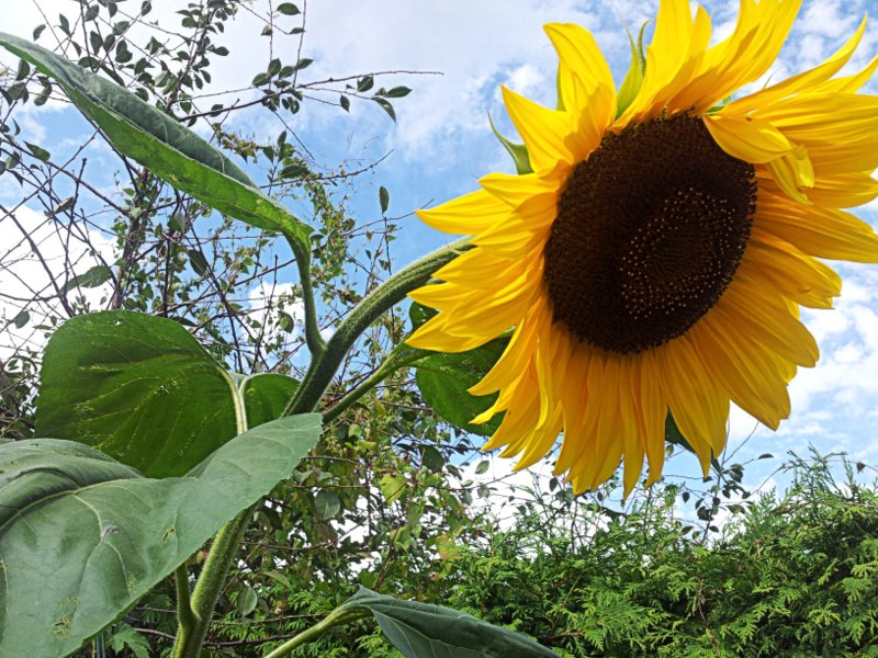 Die Sonne geht unter