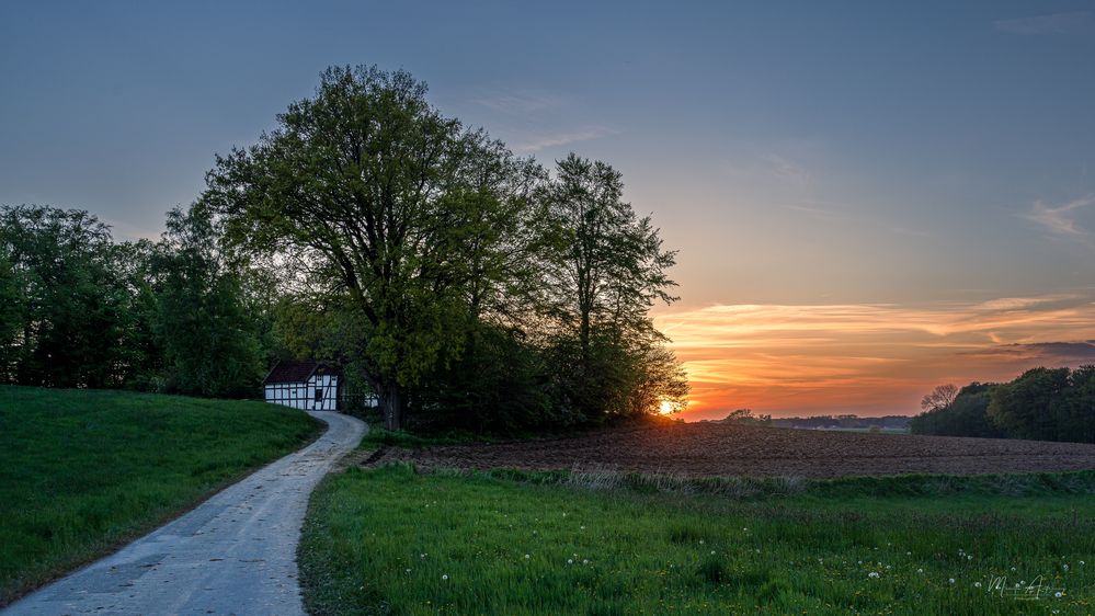 Die Sonne geht unter im Osnabrücker Land an der Grenze zu Westfalen