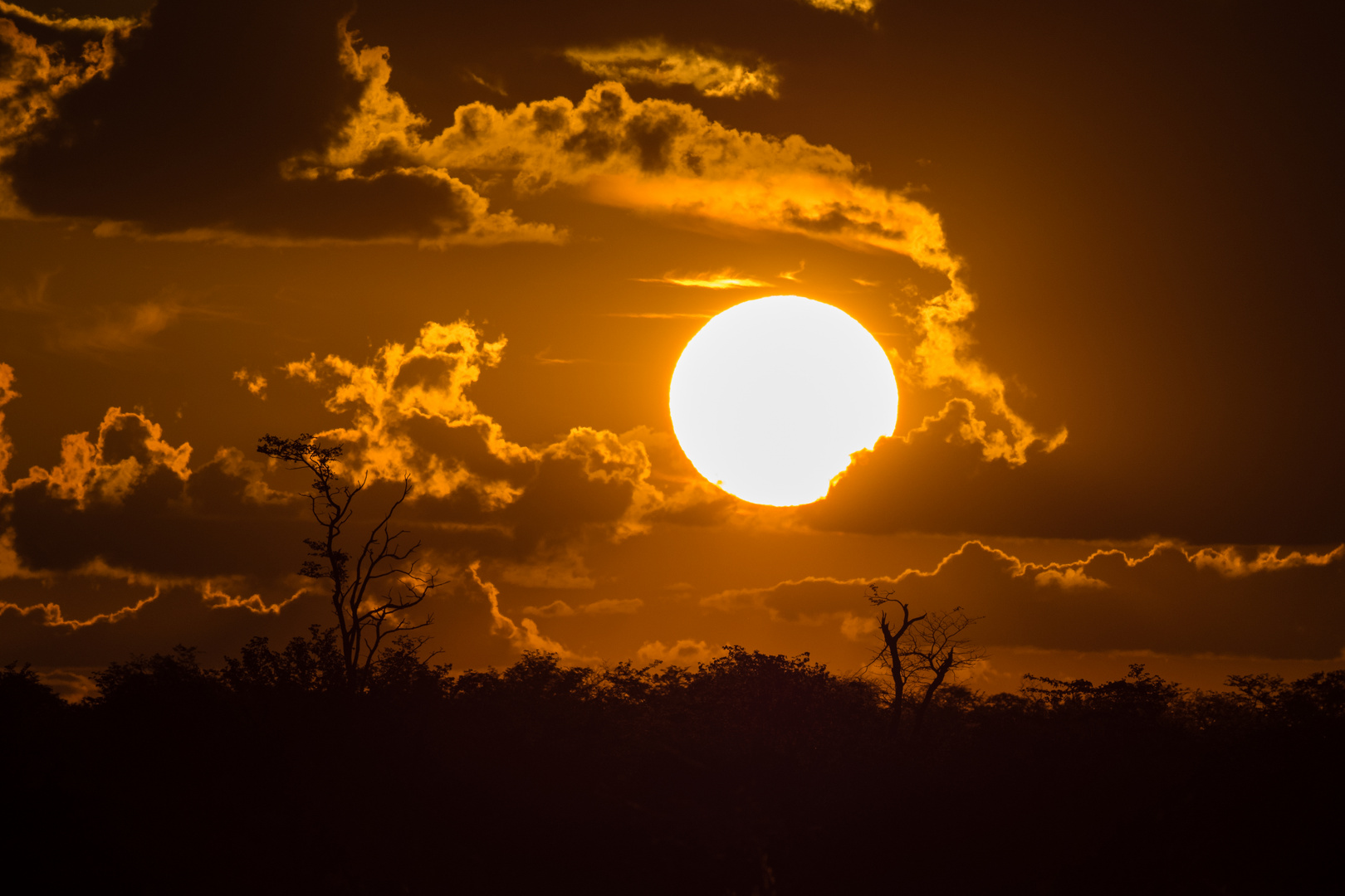 die Sonne geht unter im Savuti-Nationalpark