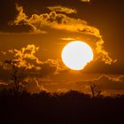 die Sonne geht unter im Savuti-Nationalpark