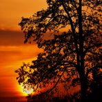 die Sonne geht unter in ihren schönsten Farben