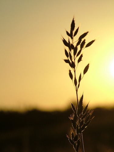 Die Sonne geht unter! Teil II