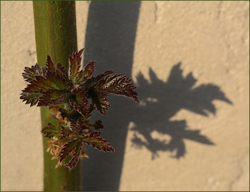 die Sonne genießen