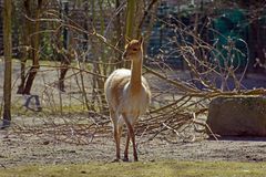 Die sonne genießen.