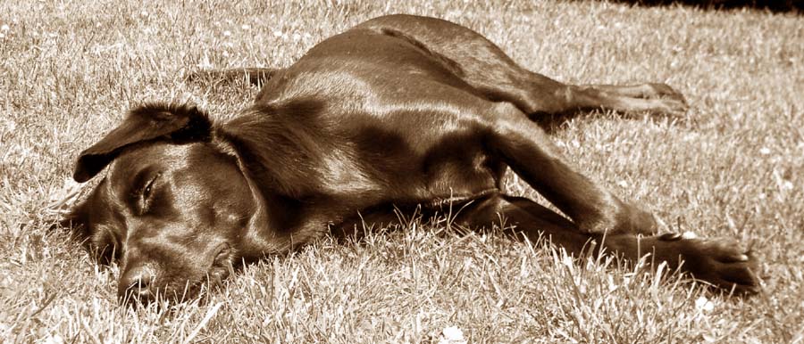 Die Sonne genießen...