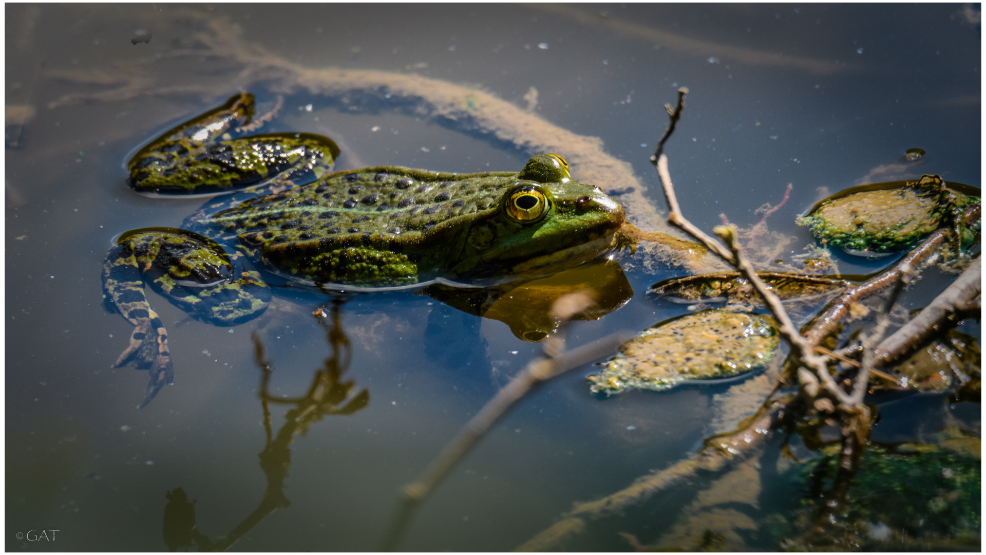 Die Sonne genießen .....im Tiergarten 3