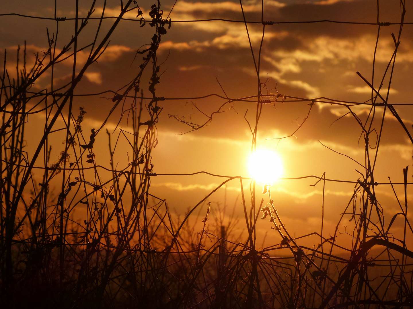 Die Sonne gewinnt an Kraft