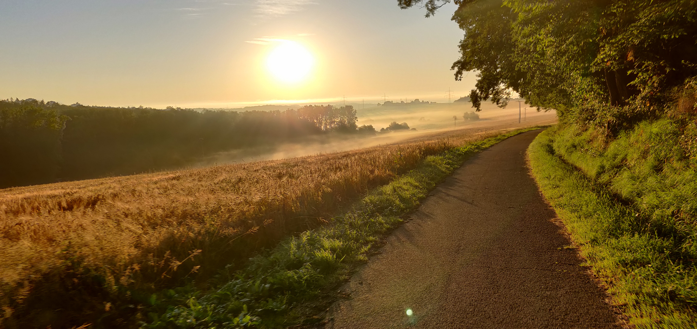 Die Sonne grüßt am Morgen 