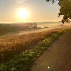 Die Sonne grüßt am Morgen 