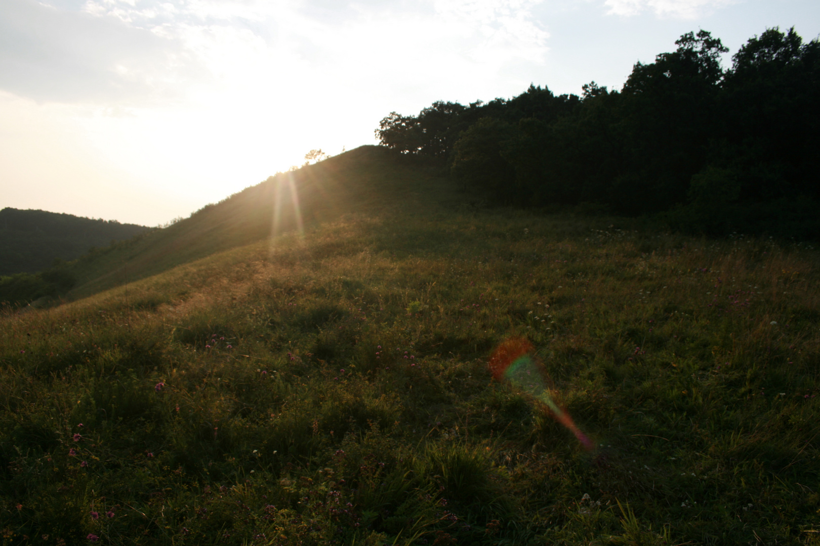 Die Sonne guckt um die Ecke ;)