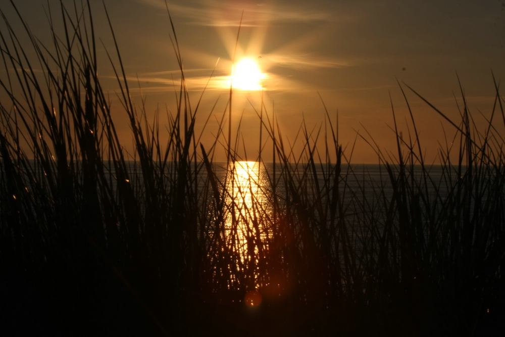 Die Sonne hält sich wohl für einen Stern.