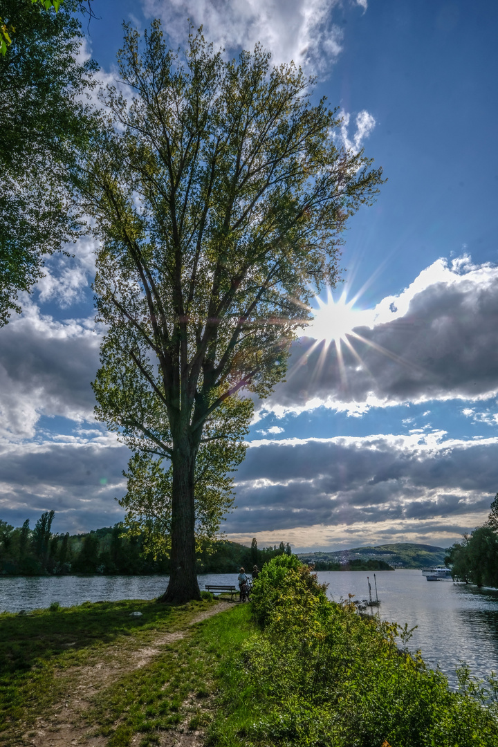 Die Sonne hat dann doch noch geblinzelt...