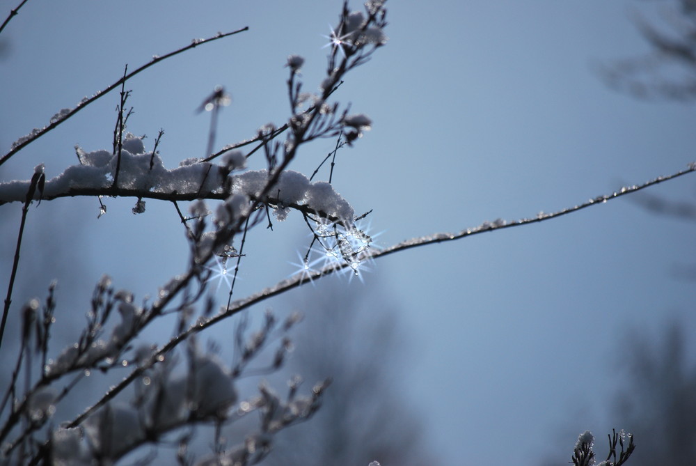 Die Sonne hat der Eiszeit Ihren Kampf angesagt