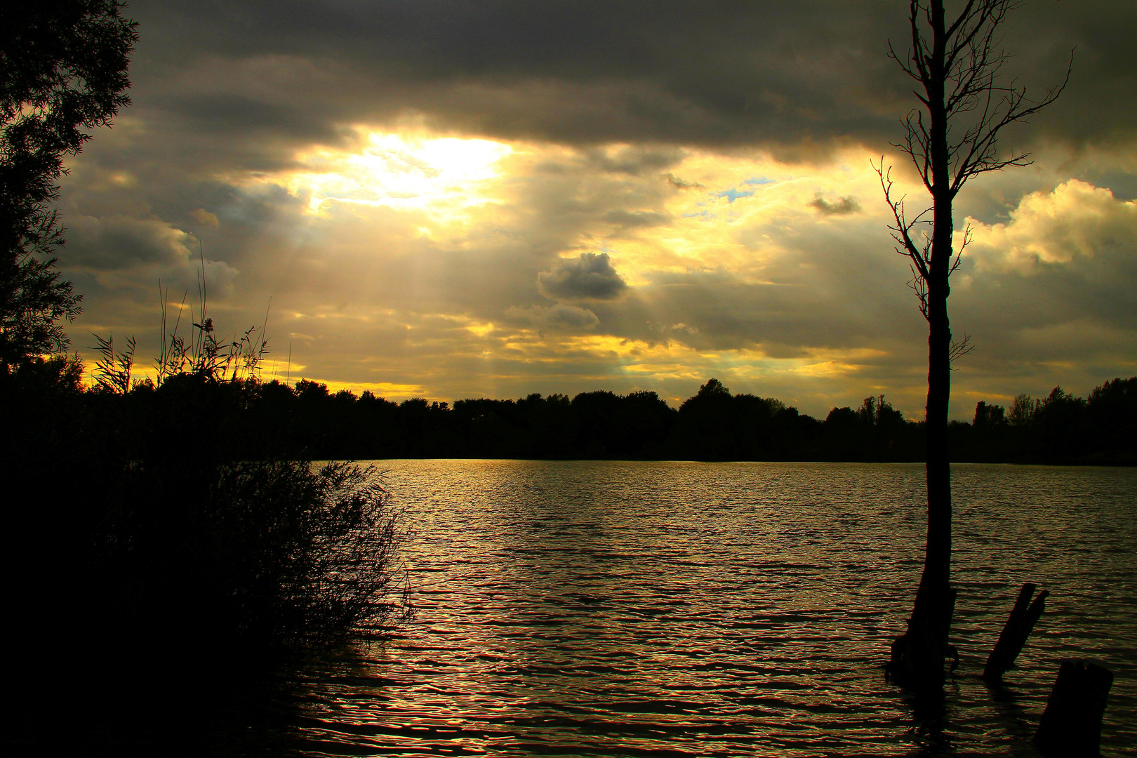 Die Sonne hat sich ausgelacht am Kiesteich