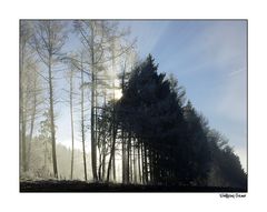 Die Sonne hat sich gegeüber dem Nebel durchgesetzt....