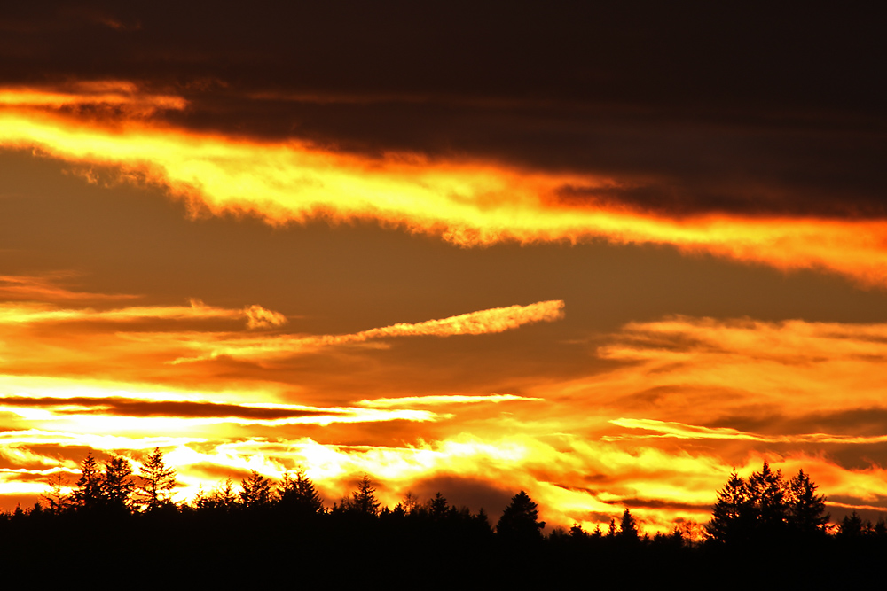 die Sonne hat sich verabschiedet