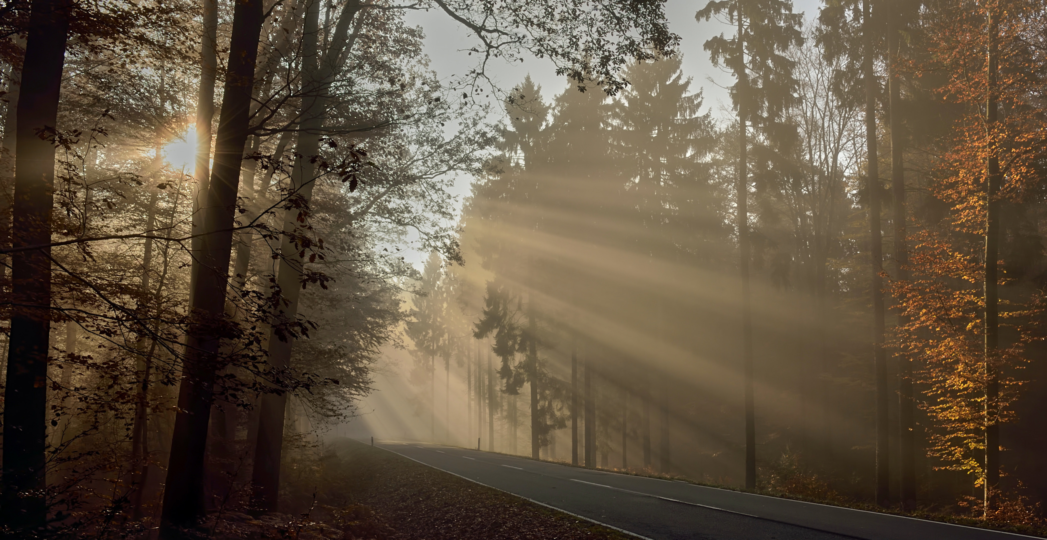 Die Sonne hatte den Durchblick bei dem dichten Nebel, zum richtigen...