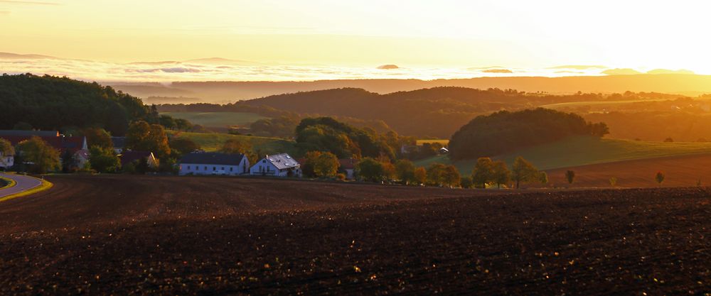 Die Sonne hatte es gerade über den Elbenebel geschafft...