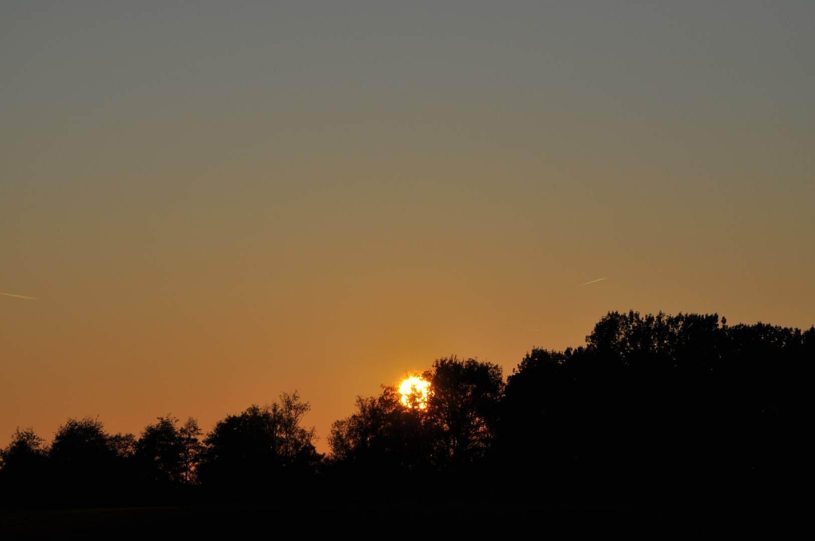 Die Sonne hinter den Bäumen