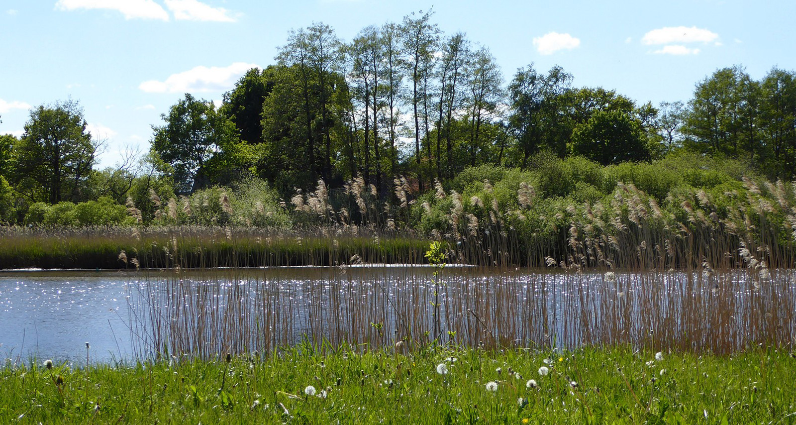  Die Sonne im Fluss