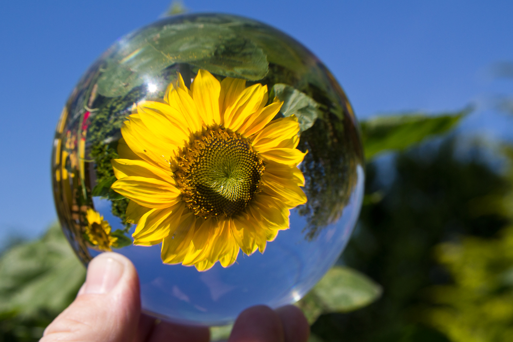 Die Sonne im Glas