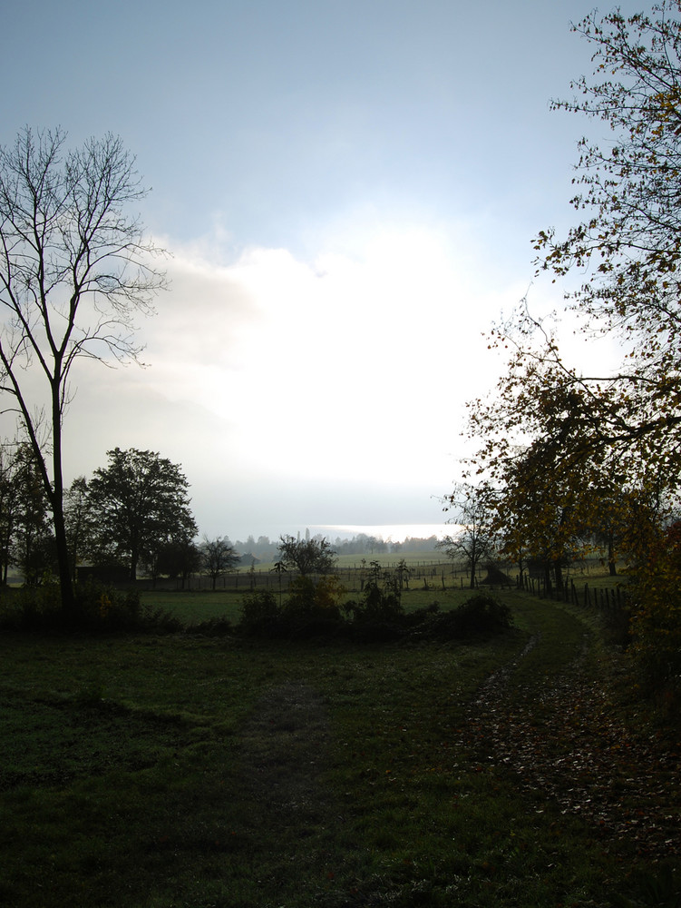 Die Sonne im Herbstsee