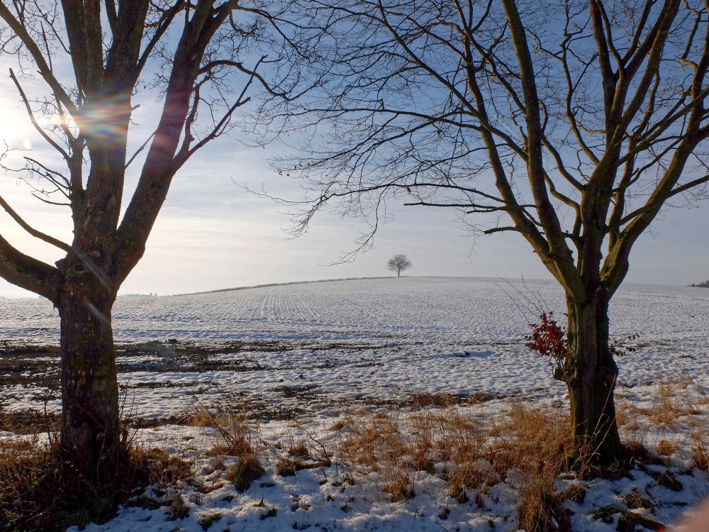 die Sonne im Januar