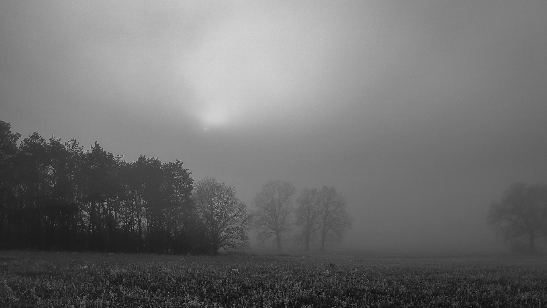 Die Sonne im Kampf gegen den Nebel