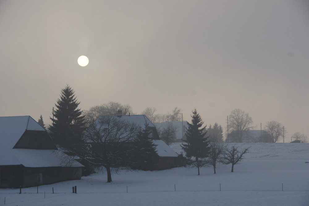 Die Sonne im Nebel