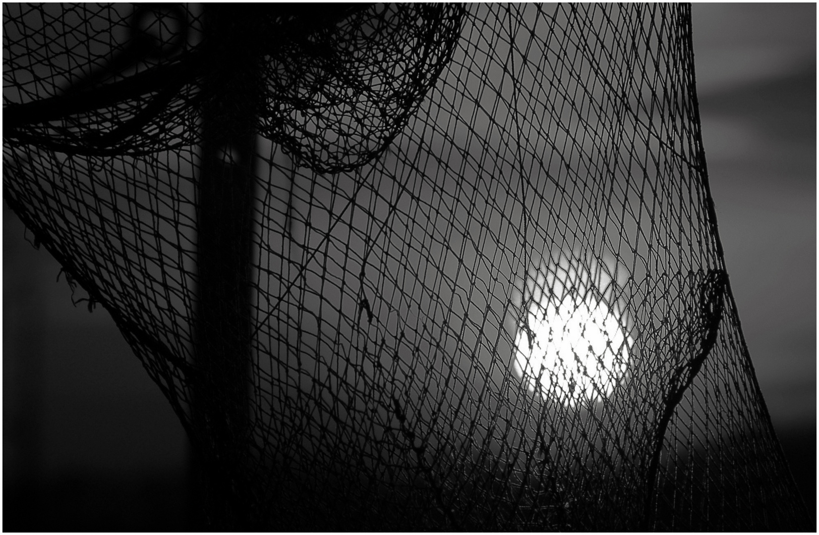 Die Sonne im Netz gefangen ...