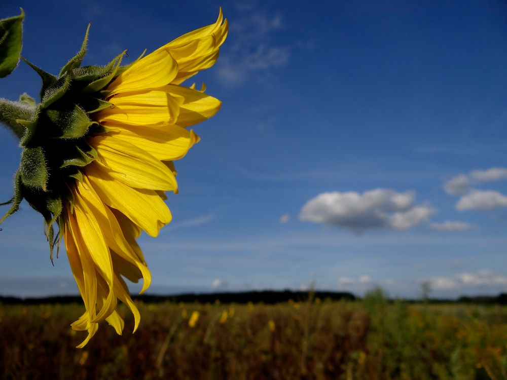 Die Sonne im Rücken