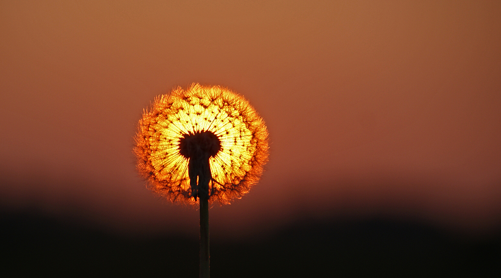 " Die Sonne im Rücken "