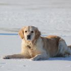 die Sonne im Schnee genießen