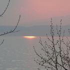 Die Sonne im See....