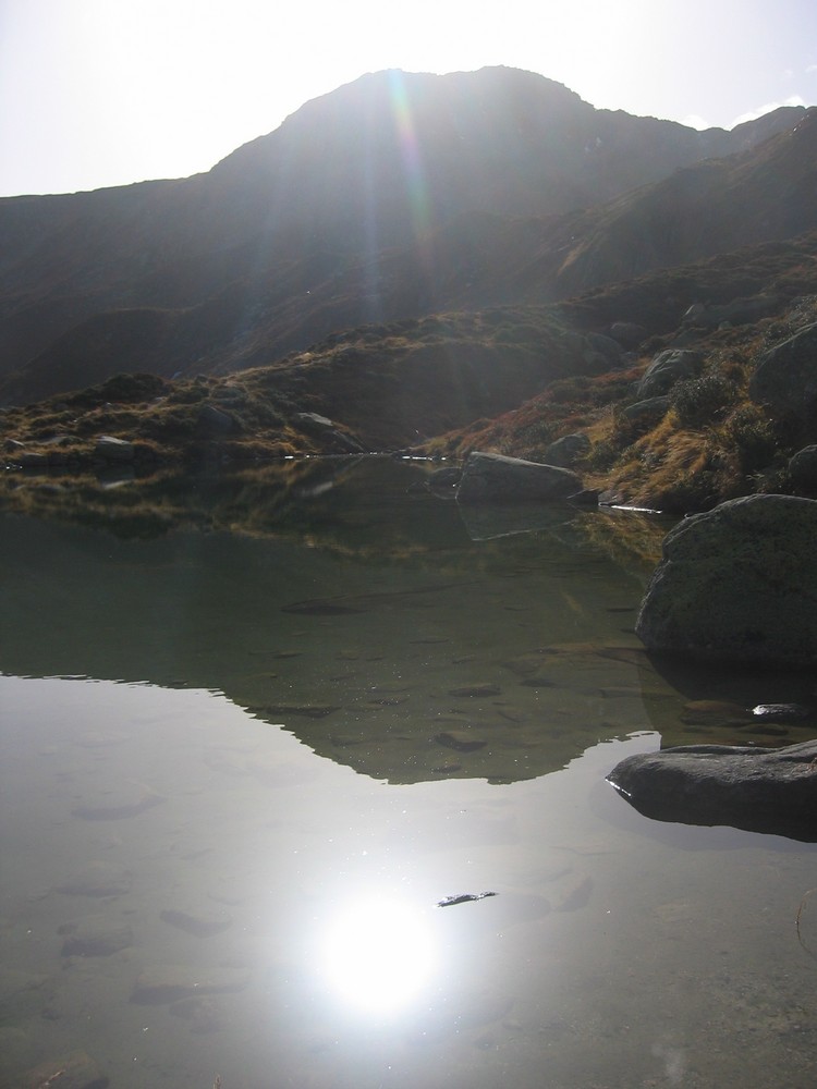 Die Sonne im Teich