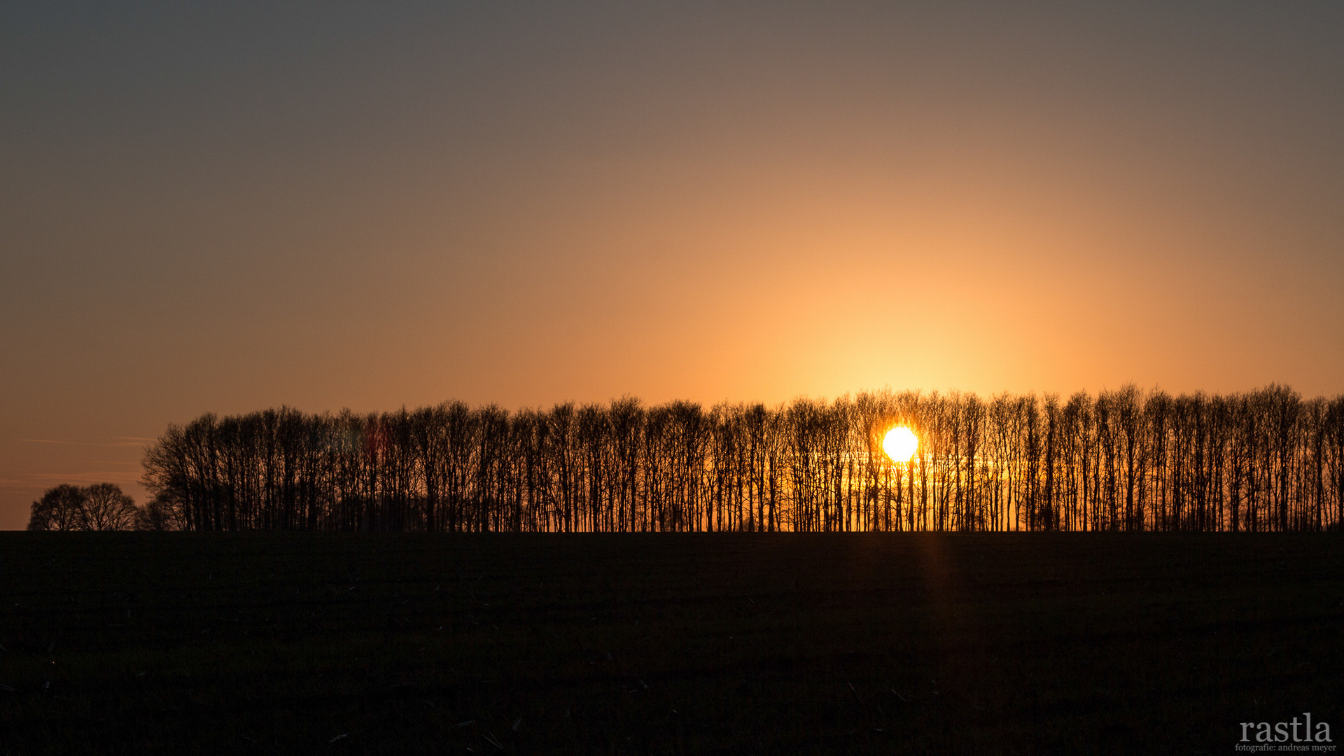 Die Sonne im Winter