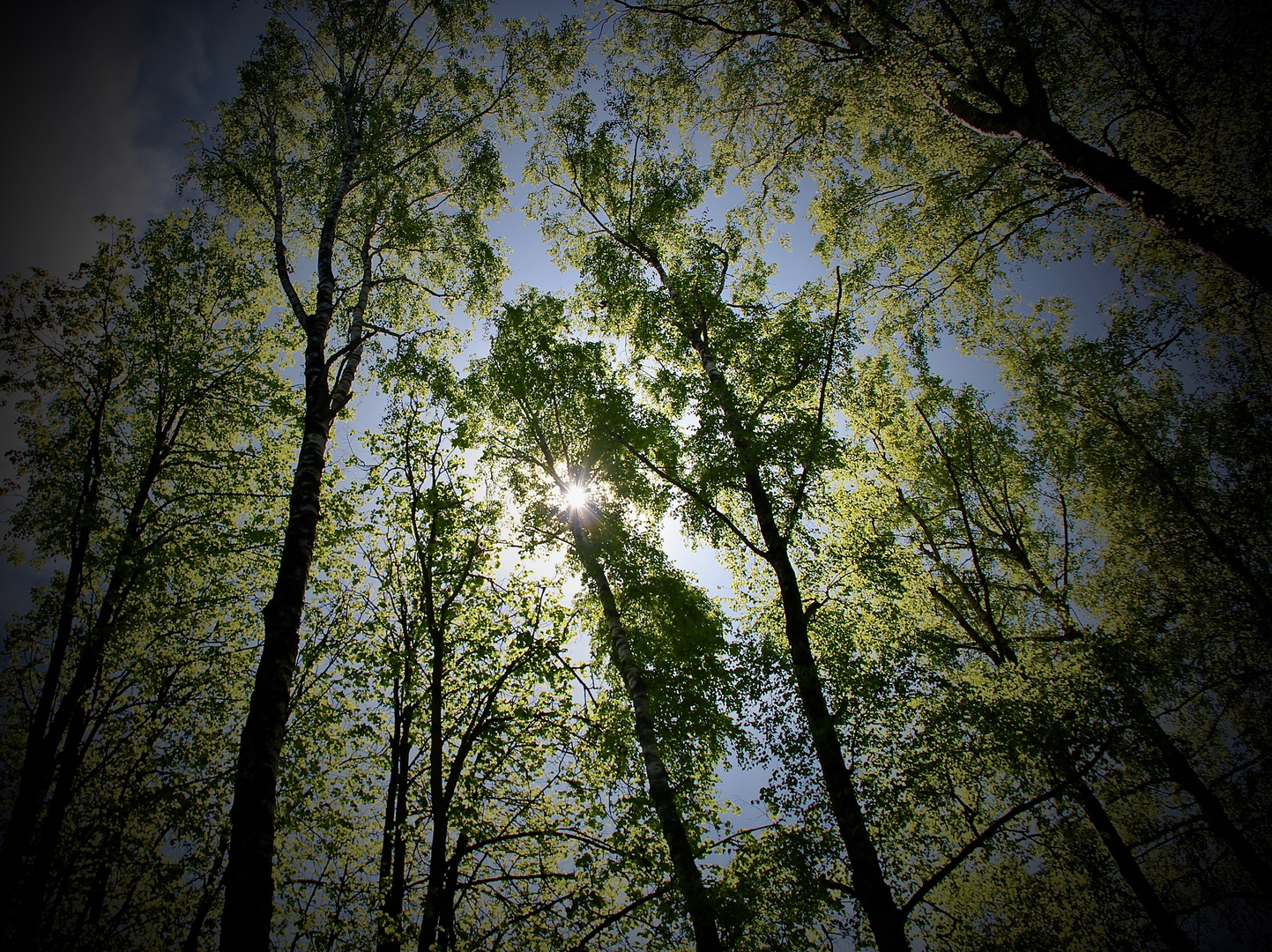 die Sonne im Zentrum