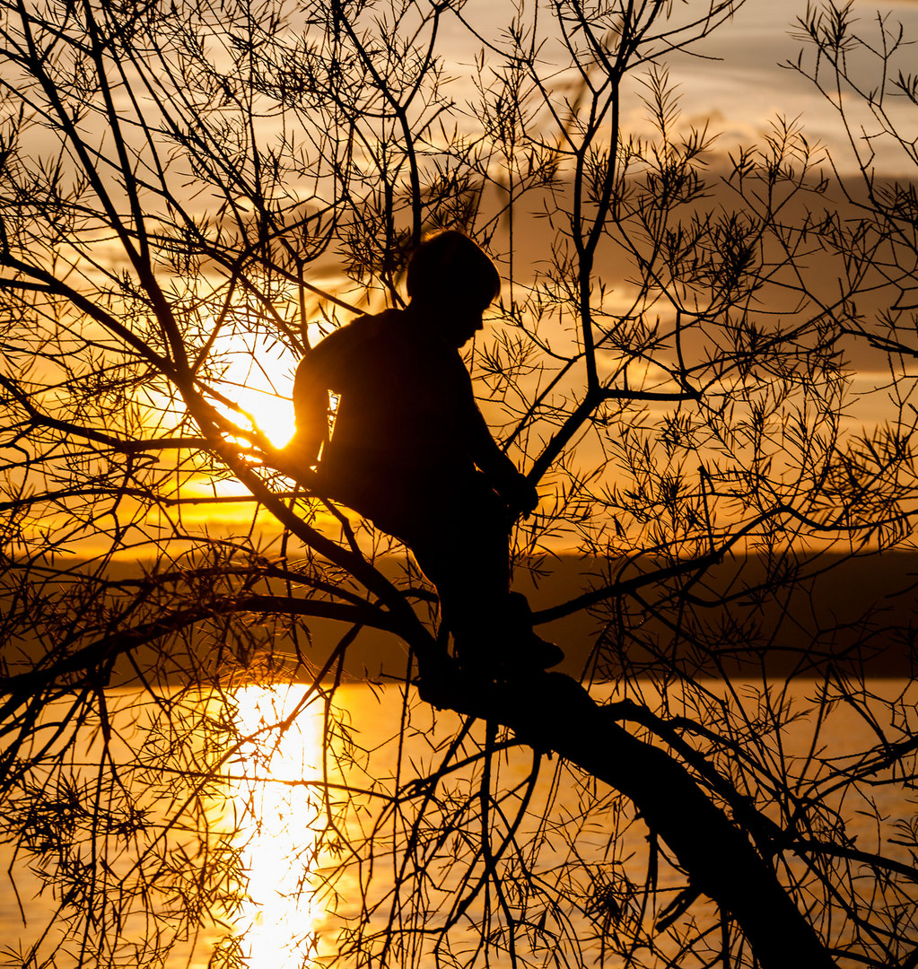 Die Sonne in der Hinterhand