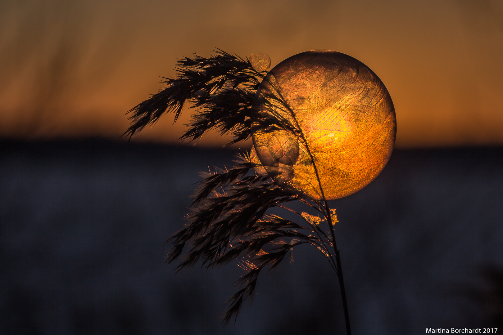 Die Sonne in der Seifenblase