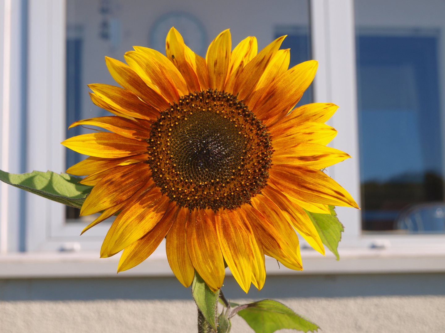 Die Sonne ist am schönsten