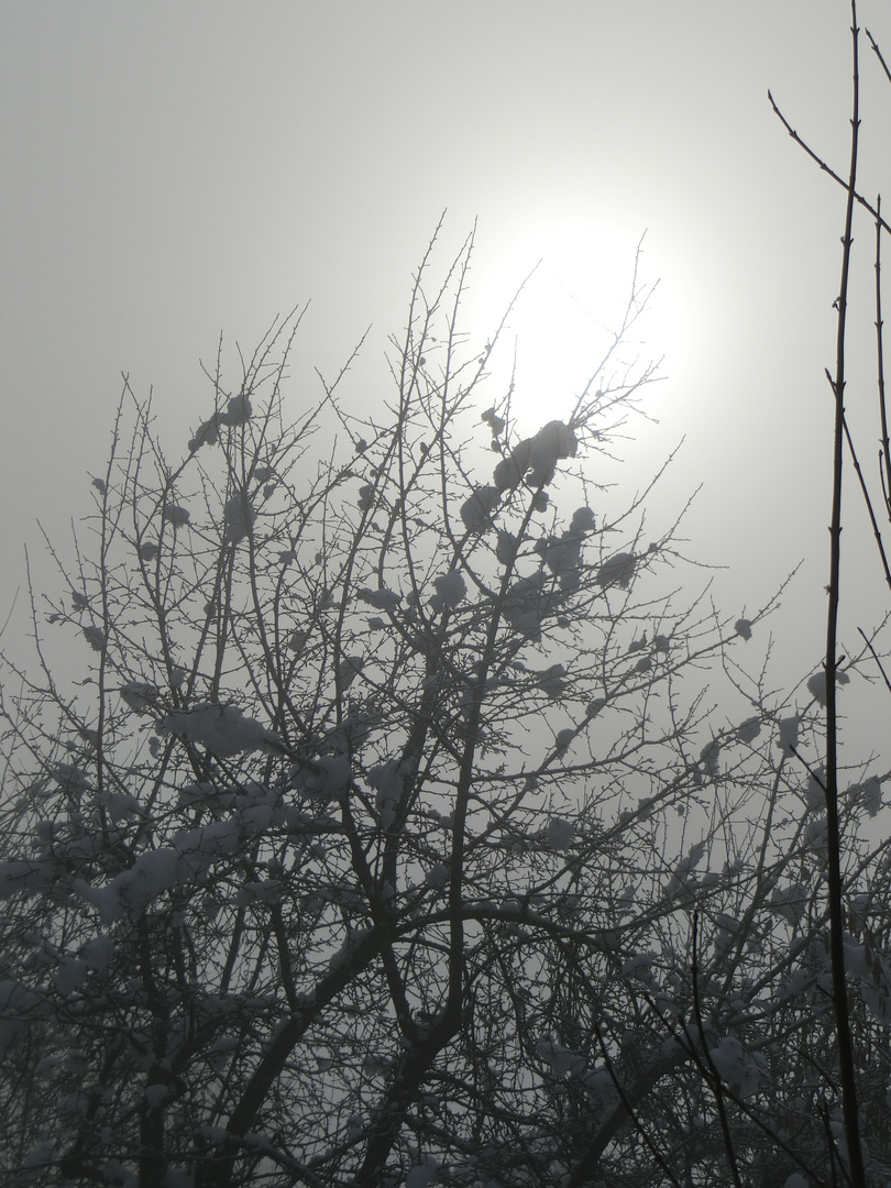 Die Sonne ist bereits aufgegangen.