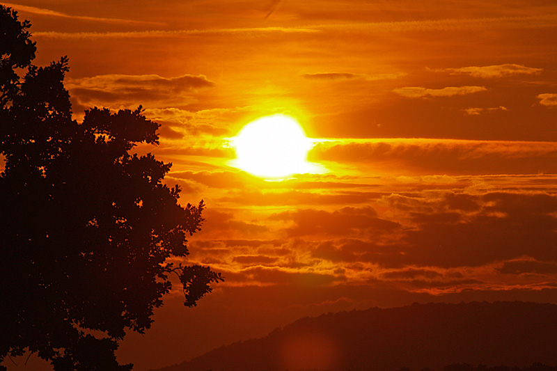 Die Sonne ist die Universalarznei aus der Himmelsapotheke.