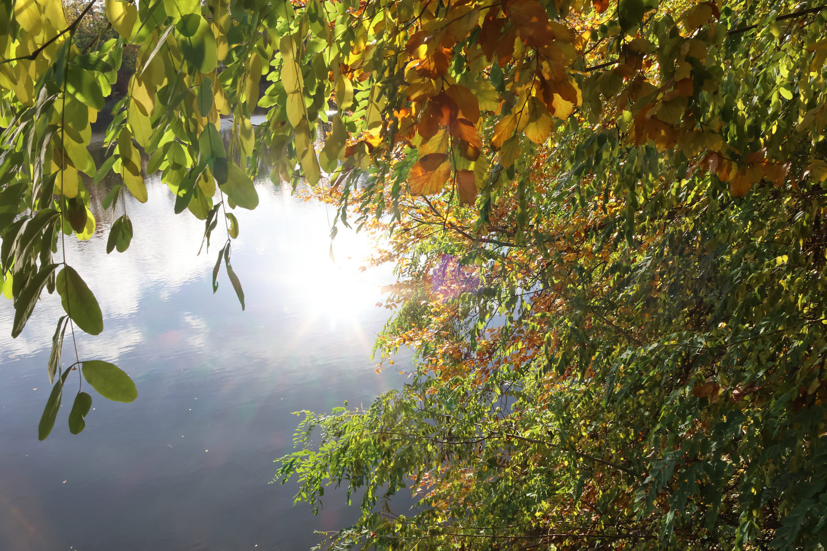 Die Sonne ist in den Teichgefallen