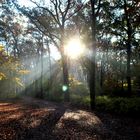 Die Sonne ist mächtiger