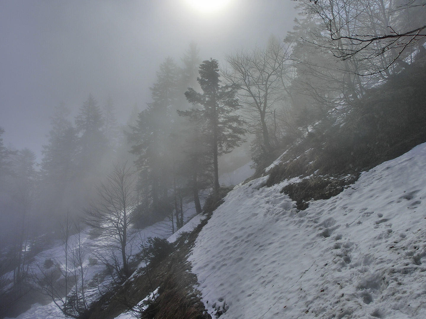 Die Sonne ist nicht mehr fern . . .