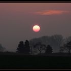 Die Sonne ist stärker als der Morgennebel...