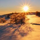 Die Sonne ist über der Naklerovska vysina (Nollendorfer Höhe)...am 01.12. 2012 aufgegangen