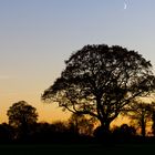 *** Die Sonne ist unter-, der Mond bereits aufgegangen ***